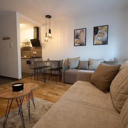 Petkovic Studio32