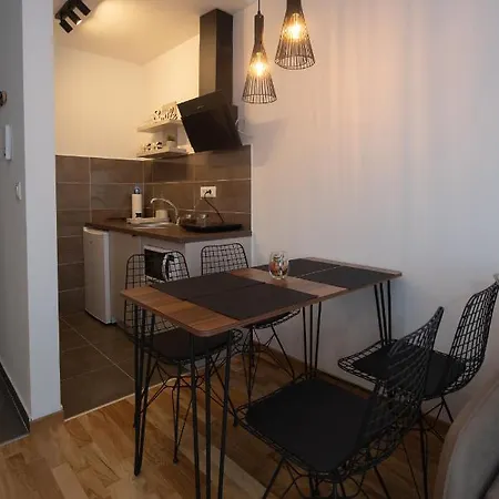 Apartment Petkovic Studio32