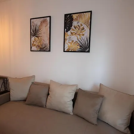 Petkovic Studio32
